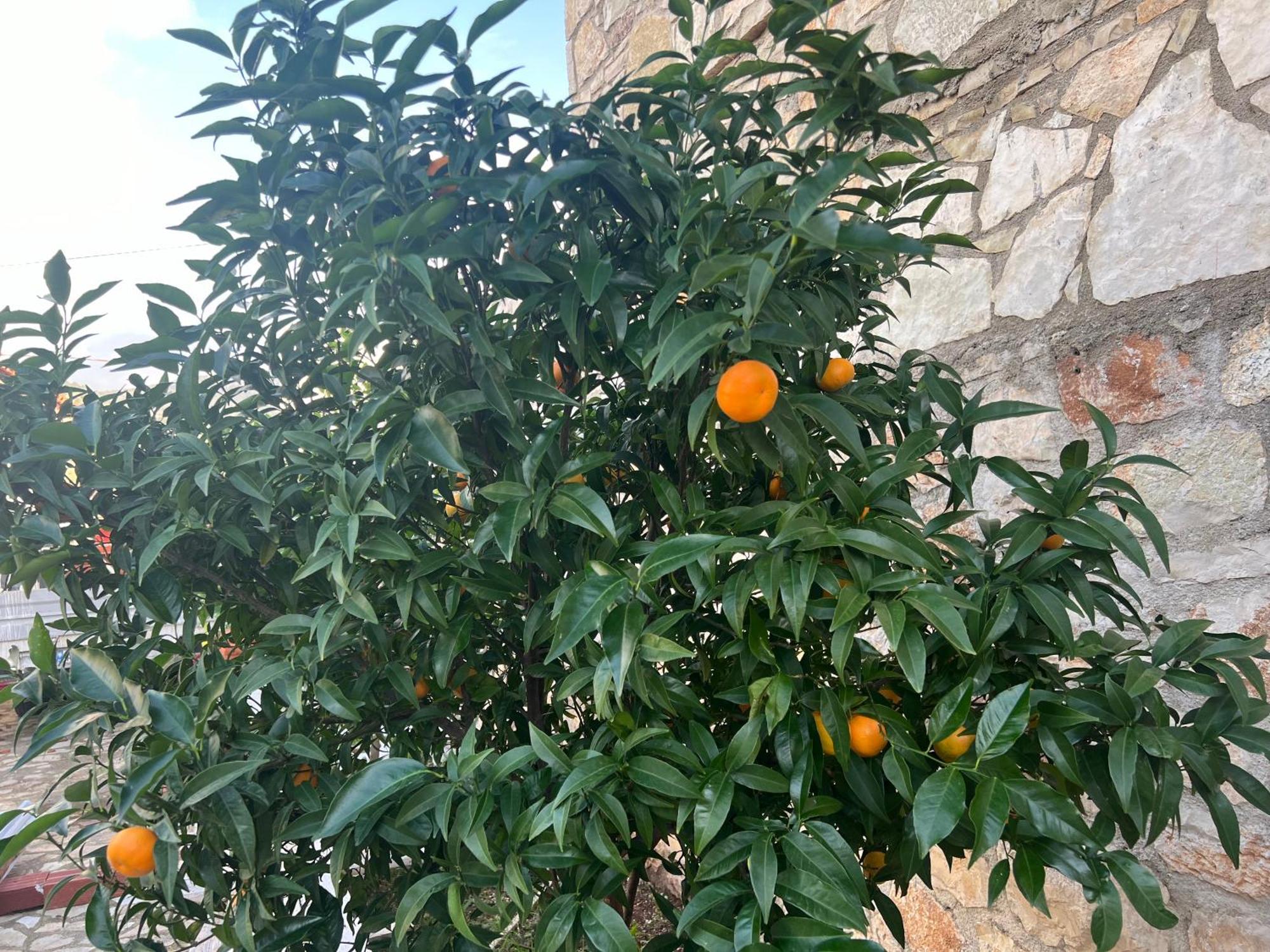 Jardin Miraculeux 호텔 히마레 외부 사진