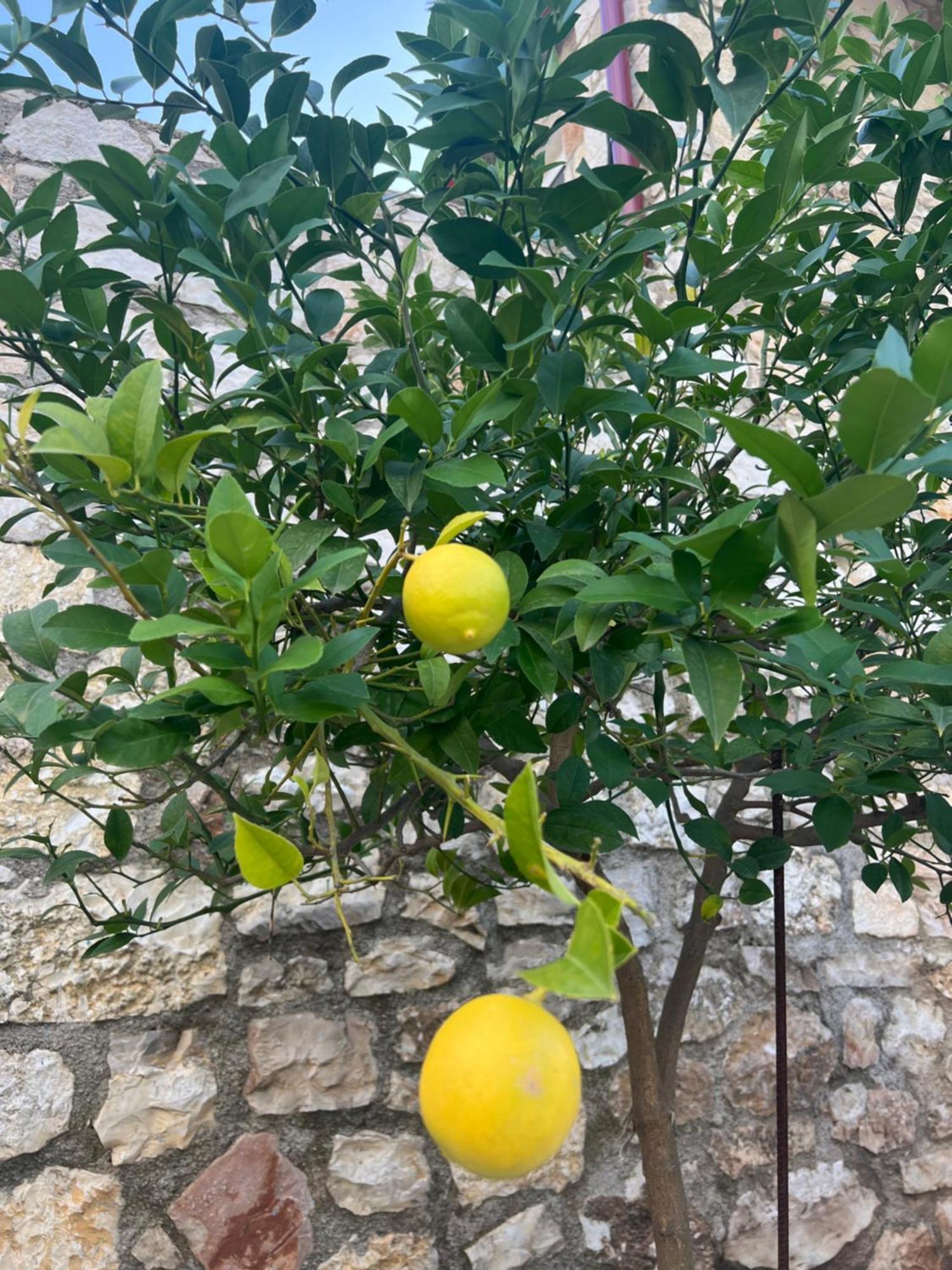 Jardin Miraculeux 호텔 히마레 외부 사진